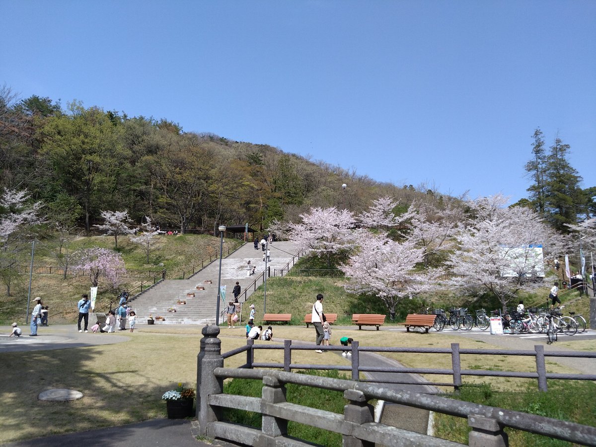 ⛰️ 시노부 산(시노부야마) 이미지 5